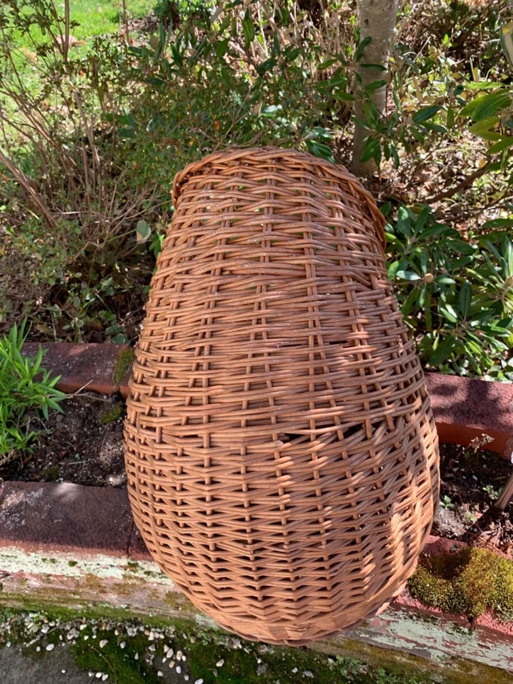Vintage Wicker Woven Natural Brown Pet Basket